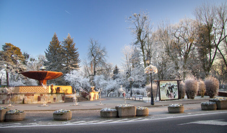 grzybek 768x451
