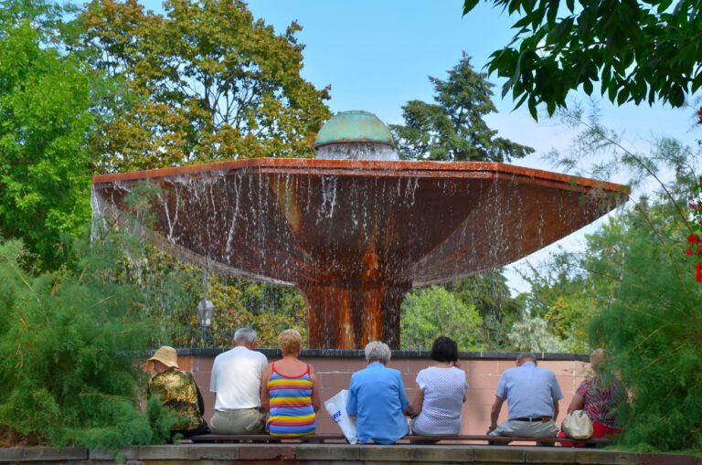 grzybek2 768x509