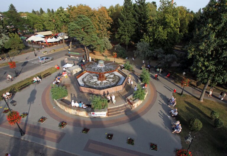 grzybek3 768x527