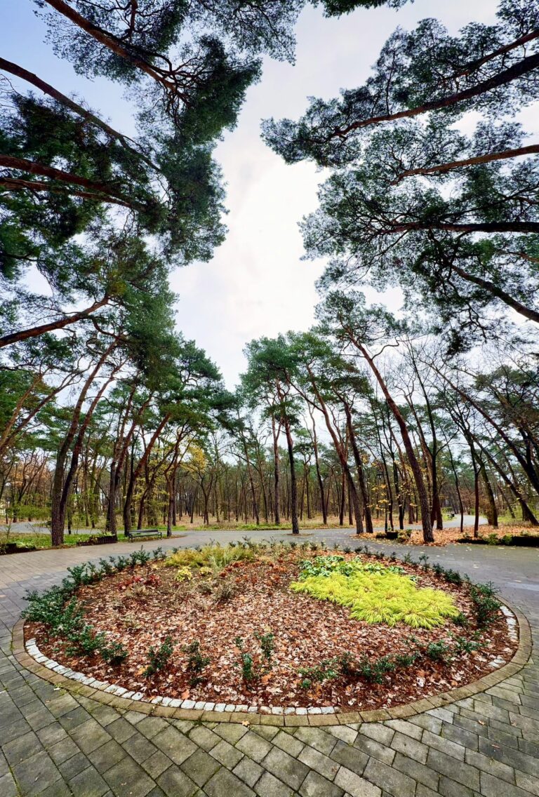 Park Sosnowy 3 D.Kaniewski 768x1136